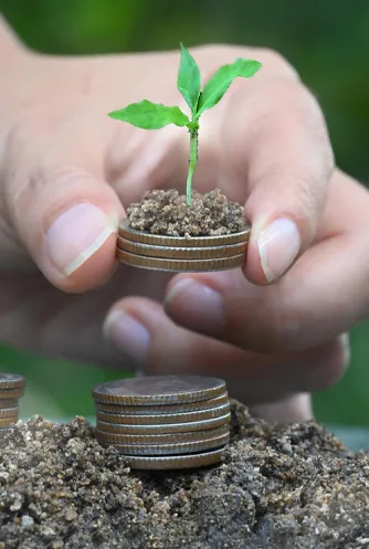 NGO & Charity  Financial Services